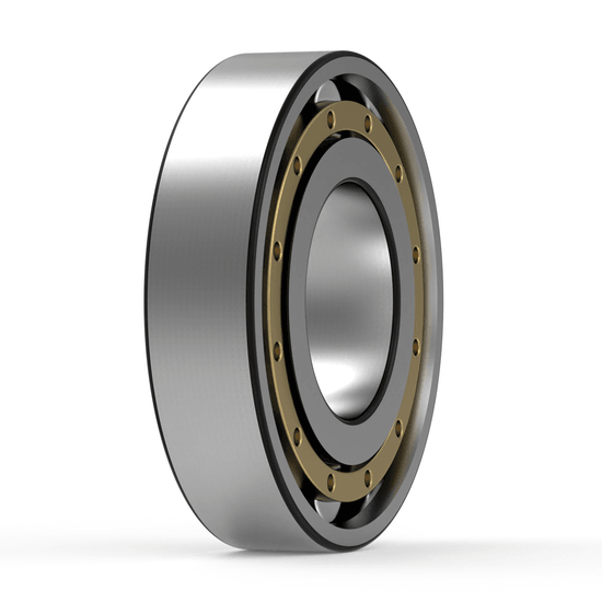 N318 ECM SKF - Zylinderrollenlager with white background