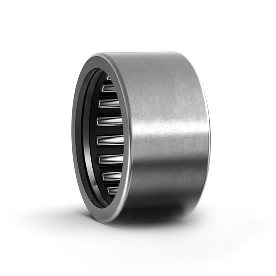 HK2520 .2RS SKF