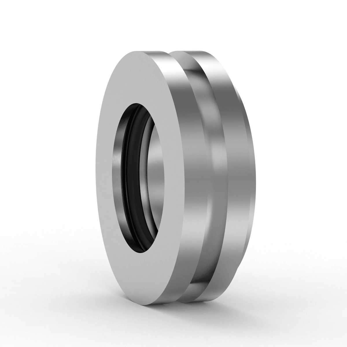 TSN313 S SKF - Gehäusedichtung with white background